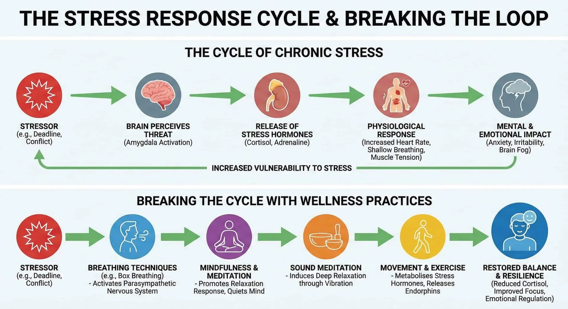 Stress cycle and wellness practices overview