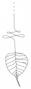 Mirosuna Unalome logo, symbol of the path to enlightenment.